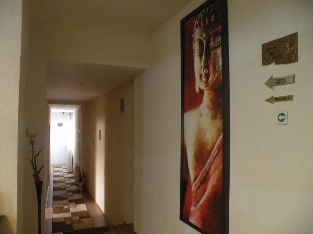 Pension Cleopatra Târgu-Mureş Buitenkant foto
